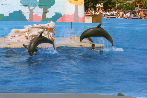 Zdjęcie z Francji - Aquapark w Antibes