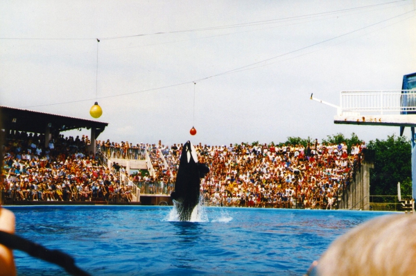 Zdjęcie z Francji - Aquapark w Antibes