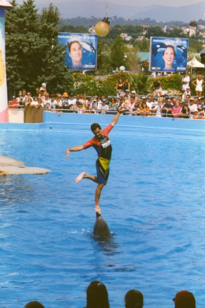 Zdjęcie z Francji - Aquapark w Antibes