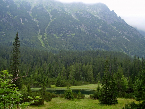 Zdjęcie z Polski - droga nad Morskie Oko