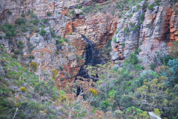 Zdjęcie z Australii - Sciany wawozu Morialta