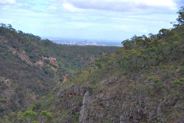 Zdjęcie z Australii - Wawoz Morialta Gorge