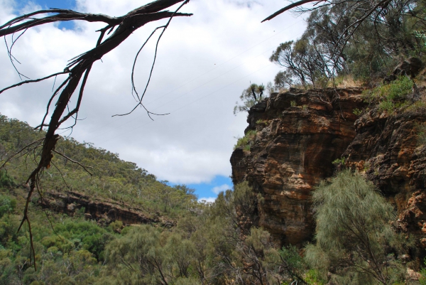 Zdjęcie z Australii - Rezerwat Morialta