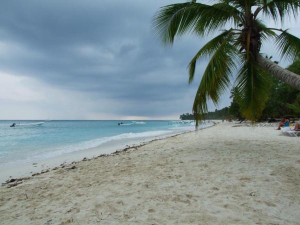 Zdjęcie z Dominikany - Isla Saona