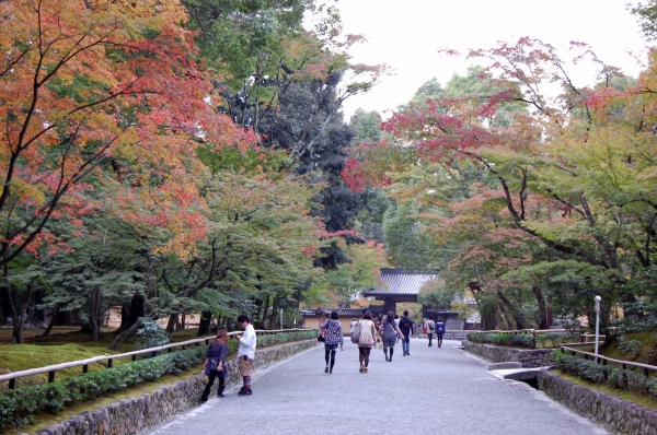 Zdjęcie z Japonii - Świątynia Kinkakuji