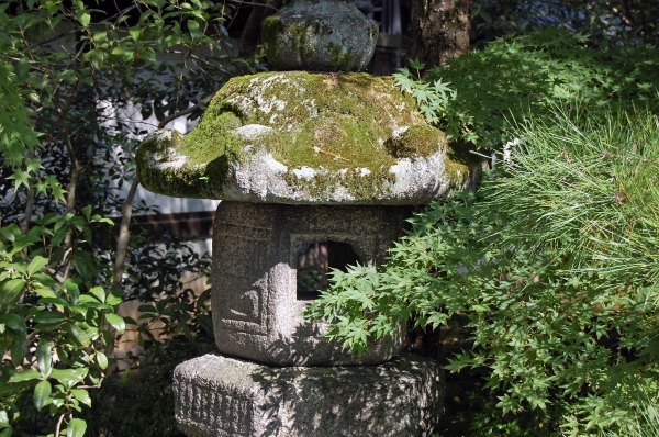 Zdjęcie z Japonii - Ogrody pałacowe