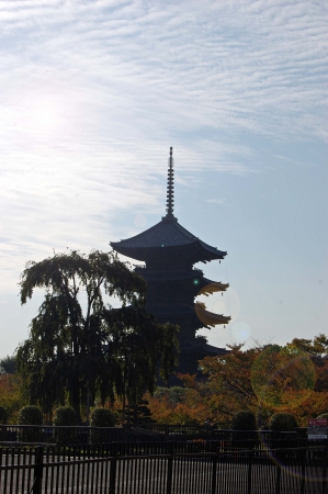 Zdjęcie z Japonii - Pagoda Toji