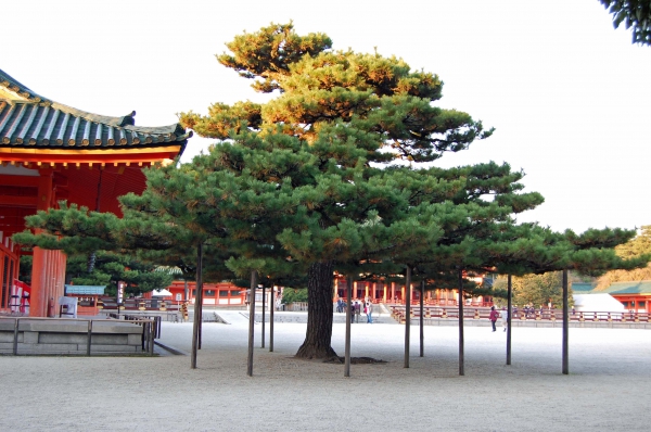 Zdjęcie z Japonii - Chram Heian