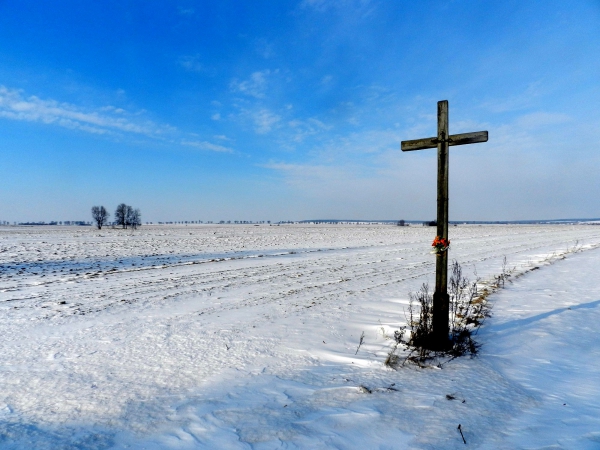 Zdjęcie z Polski - Zimowy pejzaż