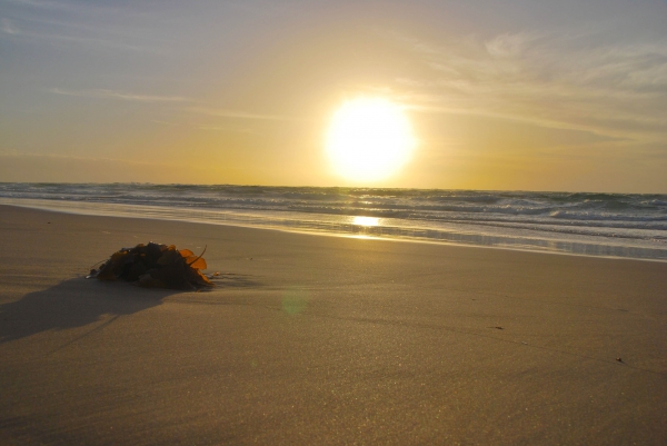 Zdjęcie z Australii - Noarlunga Beach