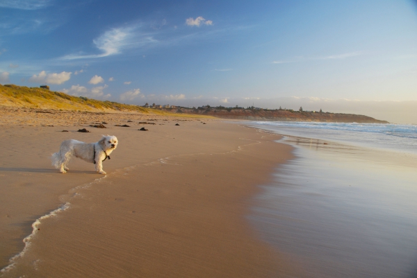 Zdjęcie z Australii - Noarlunga Beach