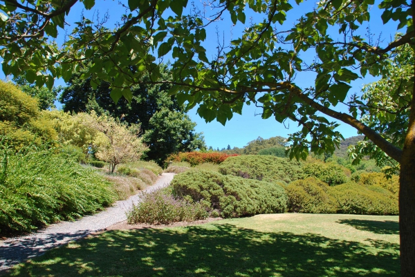 Zdjęcie z Australii - Ogrody Mt Lofty