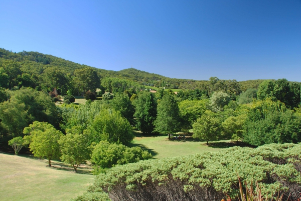 Zdjęcie z Australii - Ogrody Mt Lofty