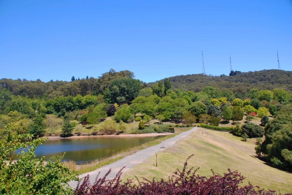 Zdjęcie z Australii - Ogrody Mt Lofty