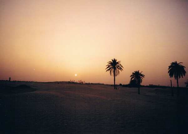 Zdjęcie z Tunezji - Sahara w Douz