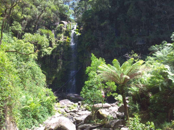 Zdjęcie z Australii - Wodospad Erskine Falls