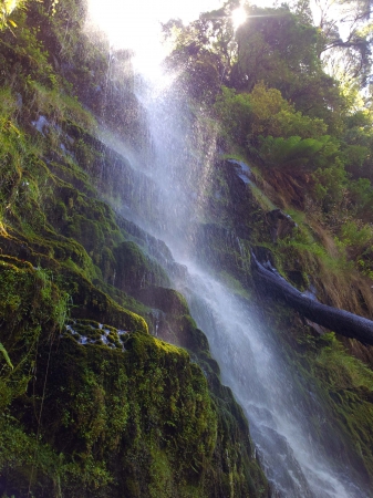 Zdjęcie z Australii - Erskine Falls Lorne