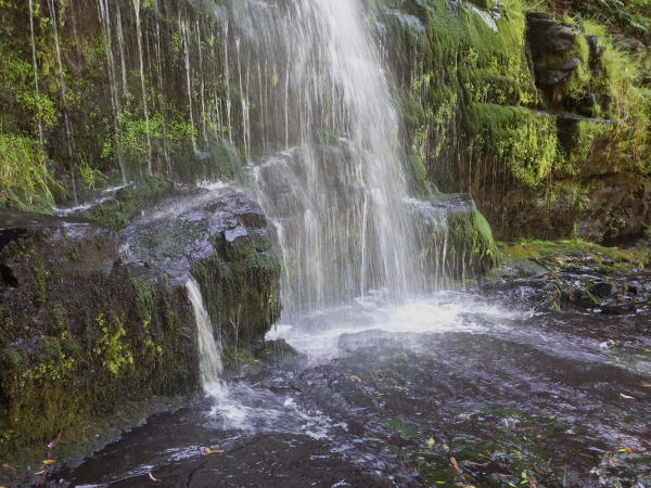 Zdjęcie z Australii - Wodospad Erskine Falls