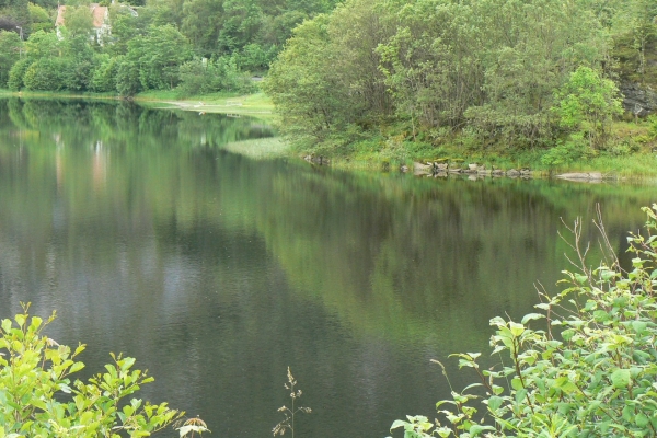 Zdjęcie z Norwegii - okolice campingu Bratland