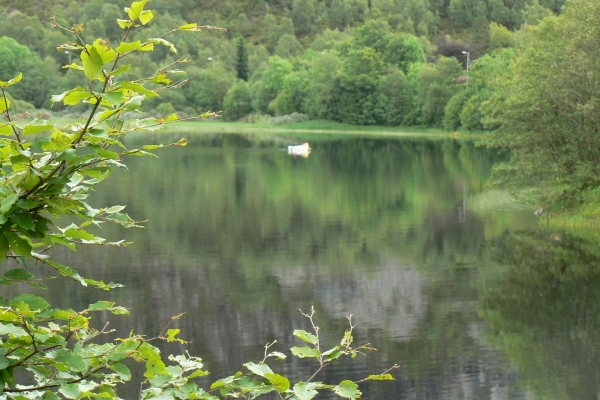 Zdjęcie z Norwegii - okolice campingu Bratland