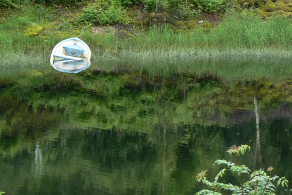Zdjęcie z Norwegii - okolice campingu Bratland