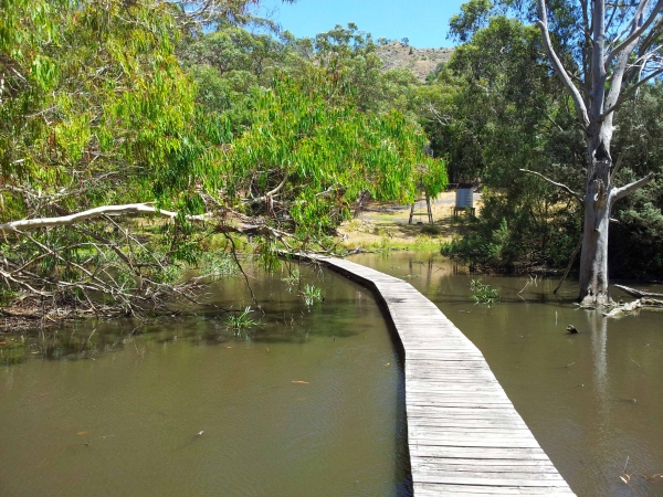 Zdjęcie z Australii - Rezerwat Marist Park