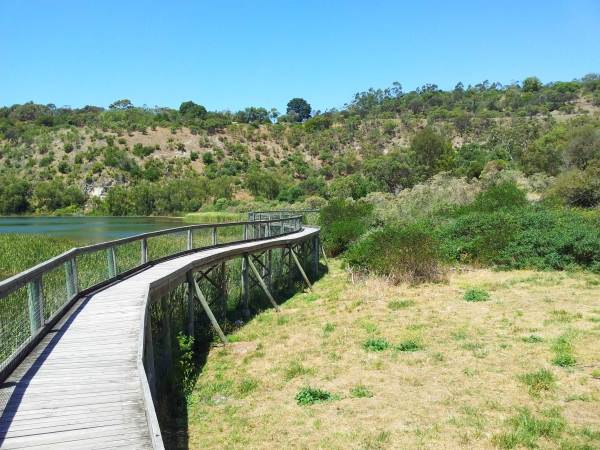 Zdjęcie z Australii - Rezerwat Marist Park