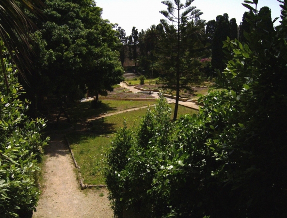 Zdjęcie z Grecji -  Rodos, stolica Rodos