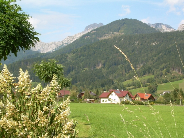 Zdjęcie z Austrii - 