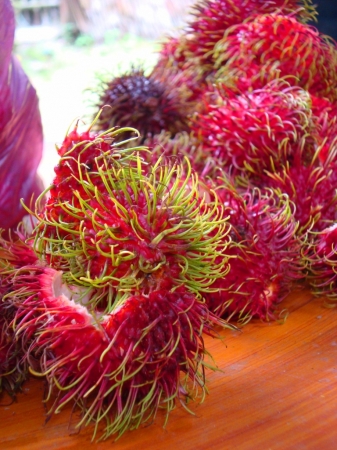 Zdjęcie z Malezji - rambutany prosto z drzewa