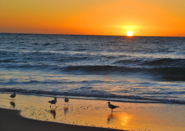 Zdjecie - Australia - Christies Beach