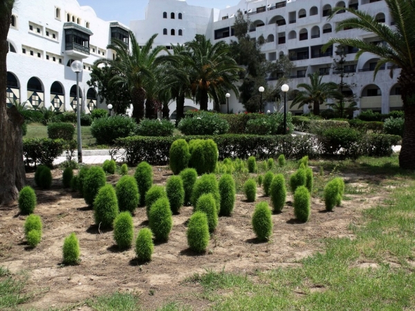 Zdjęcie z Tunezji - Sousse port El Kantaoui