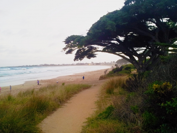 Zdjęcie z Australii - Plaza w Apollo Bay