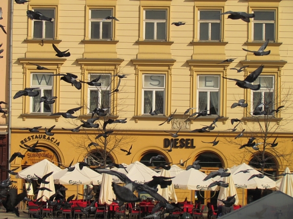 Zdjęcie z Polski - Kraków