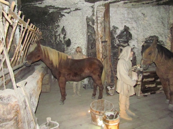 Zdjęcie z Polski - Wieliczka