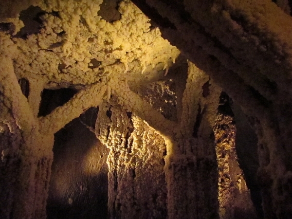 Zdjęcie z Polski - Wieliczka