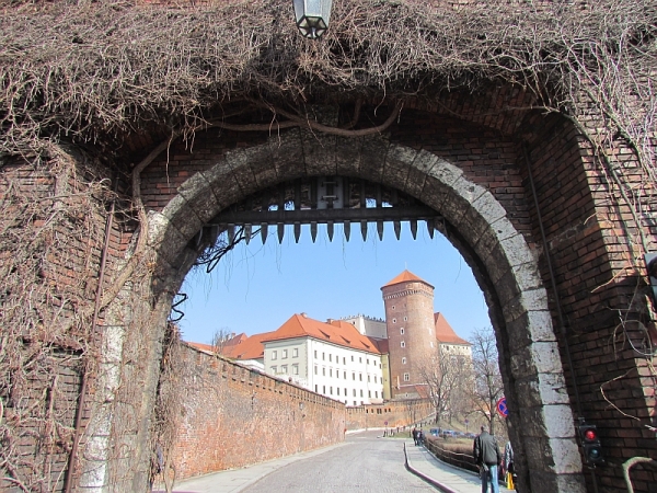 Zdjęcie z Polski - Kraków