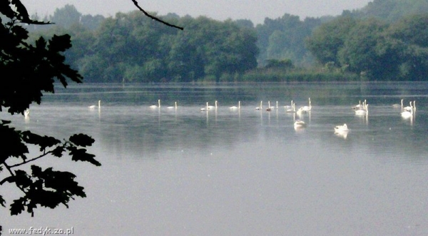 Zdjęcie z Polski - Rezerwat Łężczak
