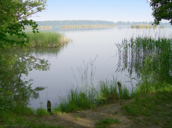 Zdjęcie z Polski - Rezerwat Łężczak