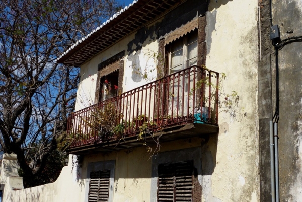 Zdjęcie z Portugalii - Funchal 