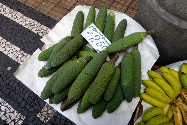 Zdjęcie z Portugalii - banana-anana