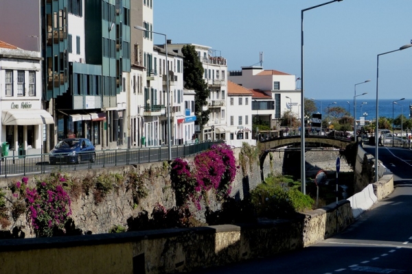 Zdjęcie z Portugalii - 