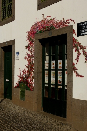 Zdjęcie z Portugalii - 