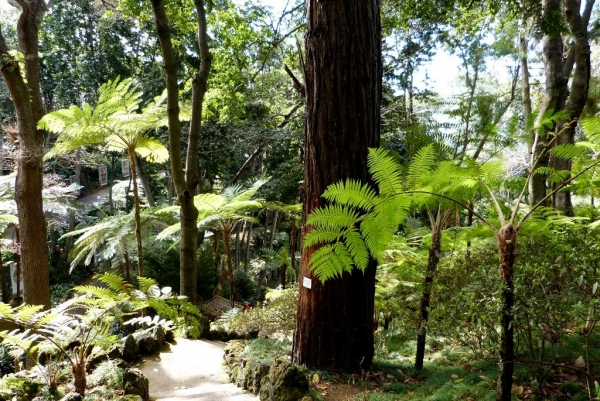 Zdjęcie z Portugalii - Monte Palace Gardens