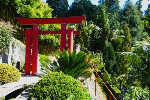 Zdjęcie z Portugalii - Monte Palace Gardens