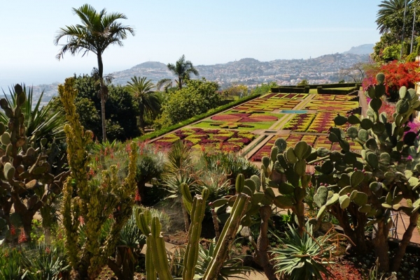 Zdjęcie z Portugalii - Ogród Botaniczny