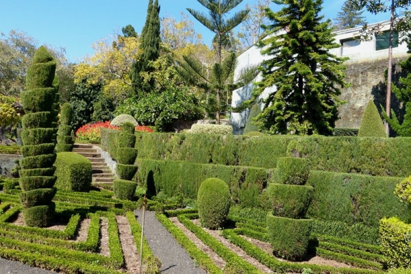 Zdjęcie z Portugalii - Ogród Botaniczny