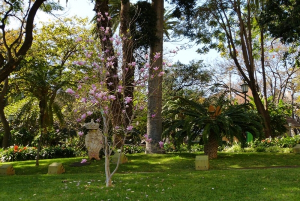 Zdjęcie z Portugalii - Gardin de Sao Laurenco