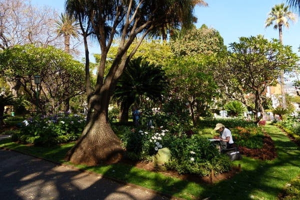 Zdjęcie z Portugalii - Gardin de Sao Laurenco
