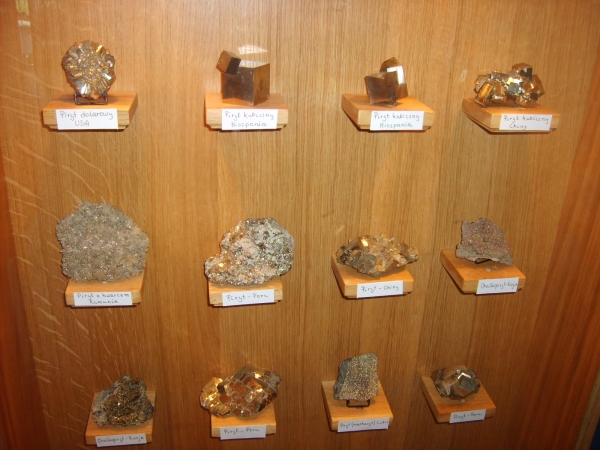 Zdjęcie z Polski - Muzeum Muszli
